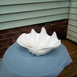 Large Clam Shell Bowl